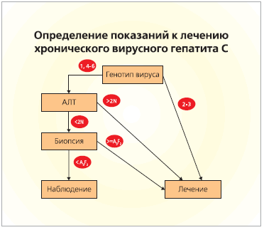 Самые актуальные новости о гепатите С - фото № 1 Самые актуальные новости о гепатите С - фото № 1
